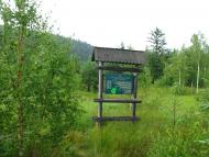 Пшеничники з panoramio.com