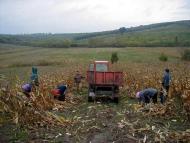 Височанське з panoramio.com