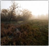 Мислова - Останні фото