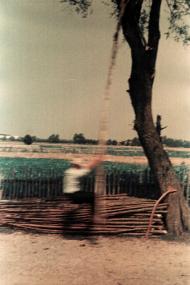 Шведчина з panoramio.com