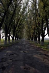 Веселе з panoramio.com