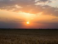 Секретарівка з panoramio.com
