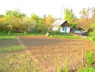 Гайворон - Останні фото