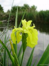 Хрипаличі - Останні фото