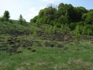 Середняки з panoramio.com