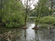 Диканька з panoramio.com