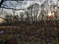 Раковець з panoramio.com