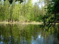 Білогорівка з panoramio.com