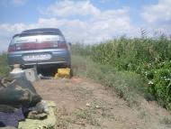 Рисове з panoramio.com