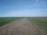 Черепова з panoramio.com