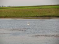 Карликівка з panoramio.com