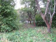 Панасівка з panoramio.com