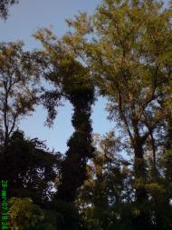 Сонячногірське з panoramio.com