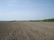 Маціорськ з panoramio.com