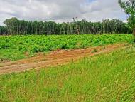 Ясинуватка з panoramio.com