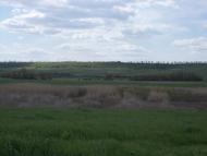 Сторожевое - Последние фото