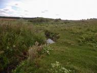 Рогачі з panoramio.com