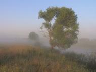 Вища Дубечня з panoramio.com