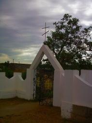 Шевченкове з panoramio.com