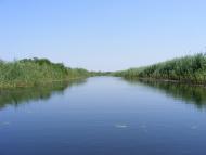 Кізомис з panoramio.com