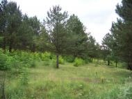 Кремінне з panoramio.com
