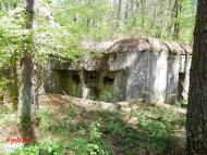 Дев'ятир з panoramio.com