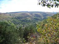 Кремінне з panoramio.com