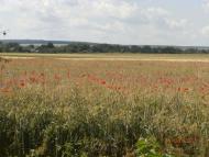 Географічний Центр України