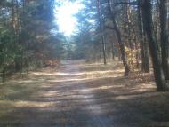 мій рідний край