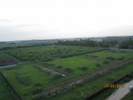 Новосілки - Останні фото