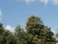 Географічний Центр України