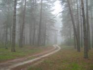 Шабалинів - Останні фото