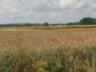 Географічний Центр України