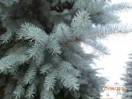 Географічний Центр України