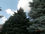 Географічний Центр України