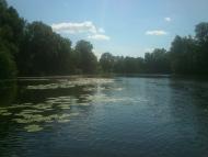 мій рідний край