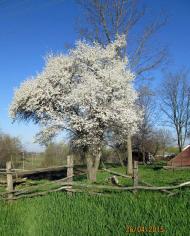 Добрий день Погоріла!