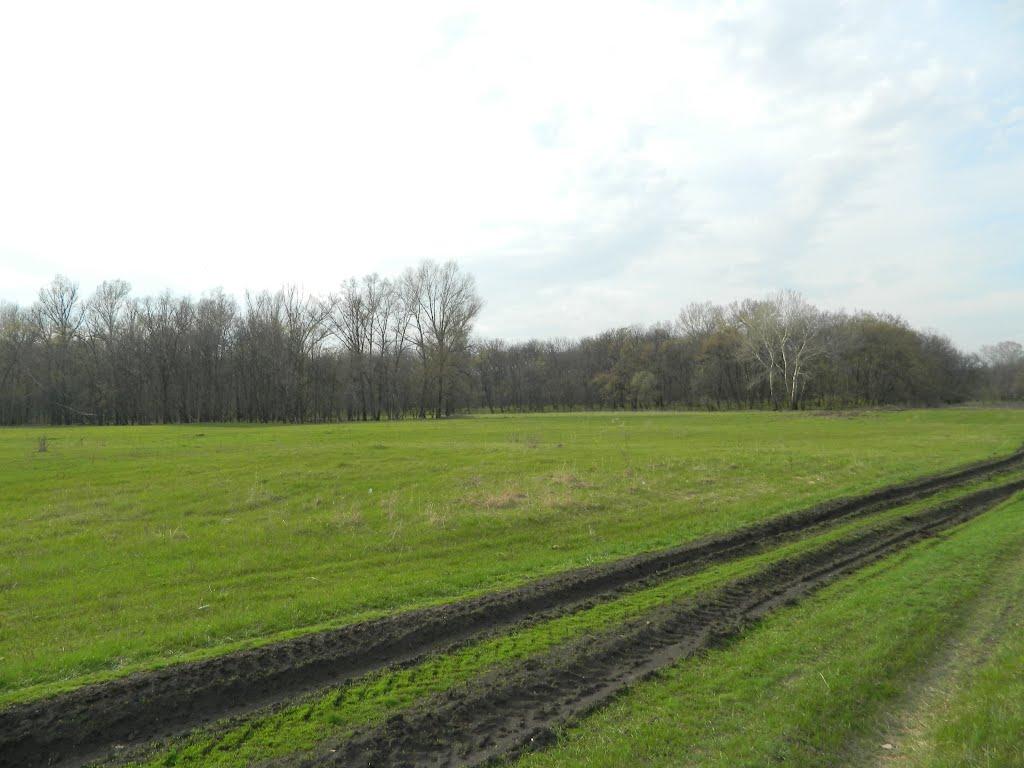 Привілля з panoramio.com - Привілля