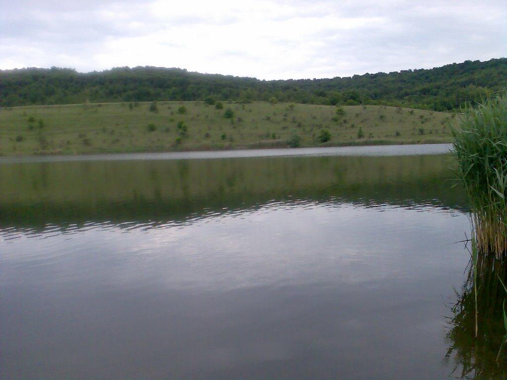 Гонората з panoramio.com - Гонората