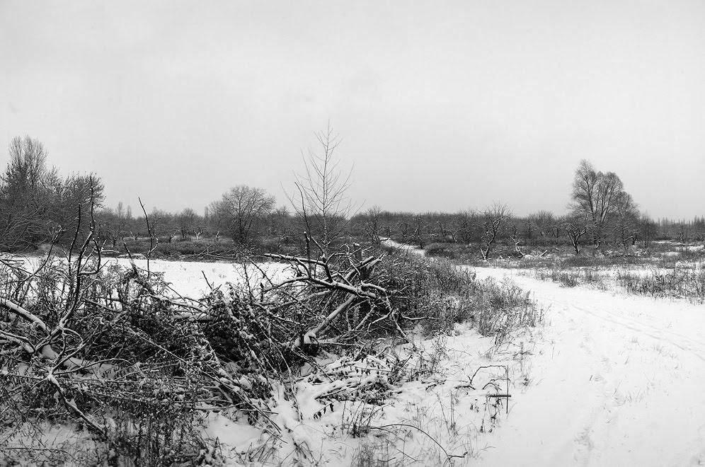 Немішаєве з panoramio.com - Немішаєве