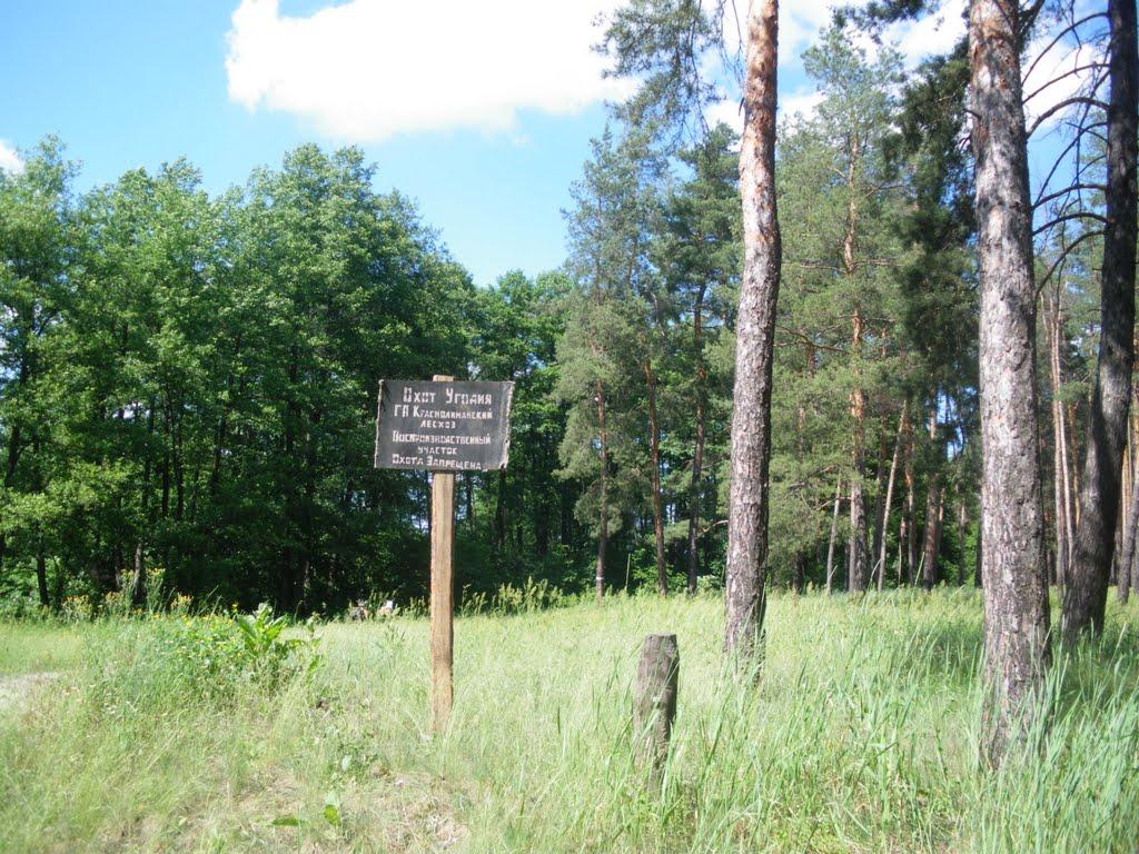 Пришиб з panoramio.com - Пришиб