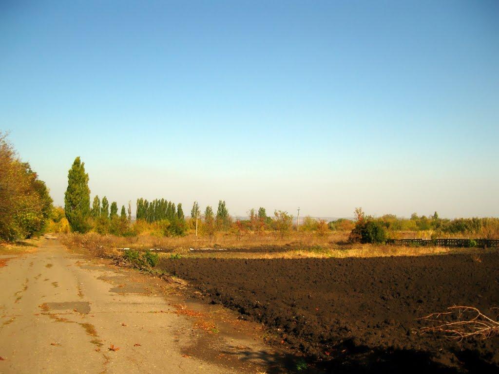 Попасна з panoramio.com - Попасная