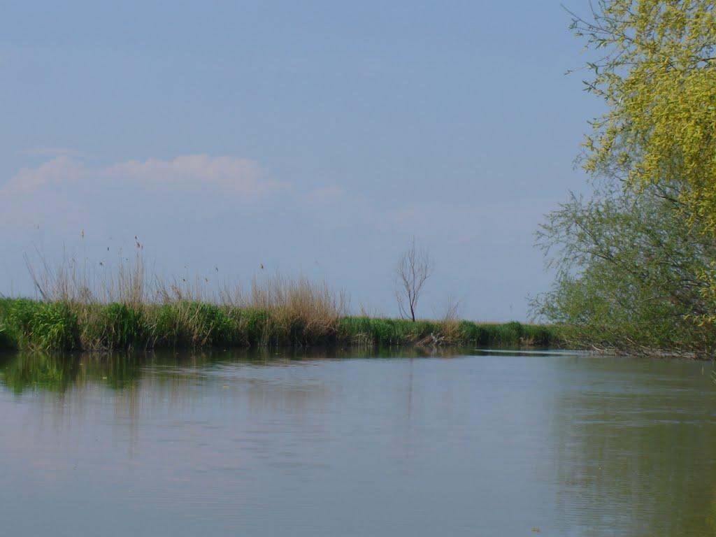 Вилкове з panoramio.com (ч.2) - Вилкове