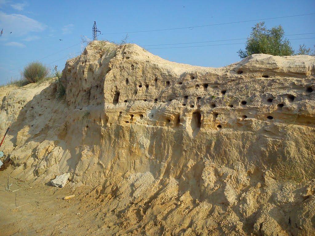 Кардашинка з panoramio.com - Кардашинка