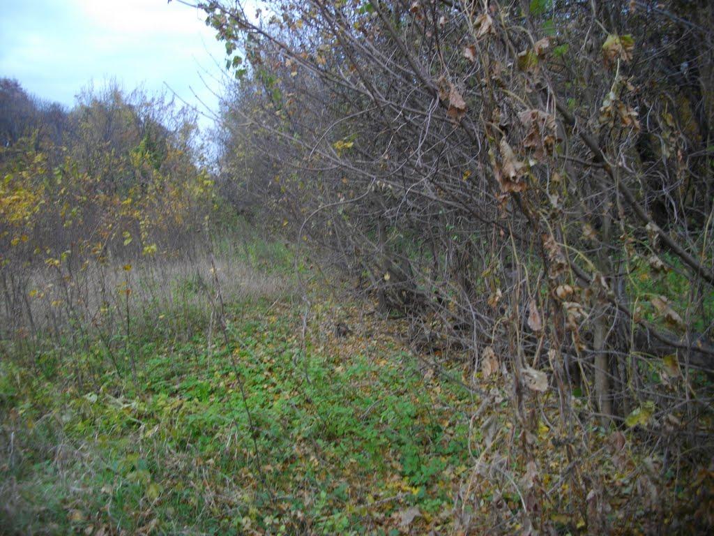 Микитівка з panoramio.com - Никитовка