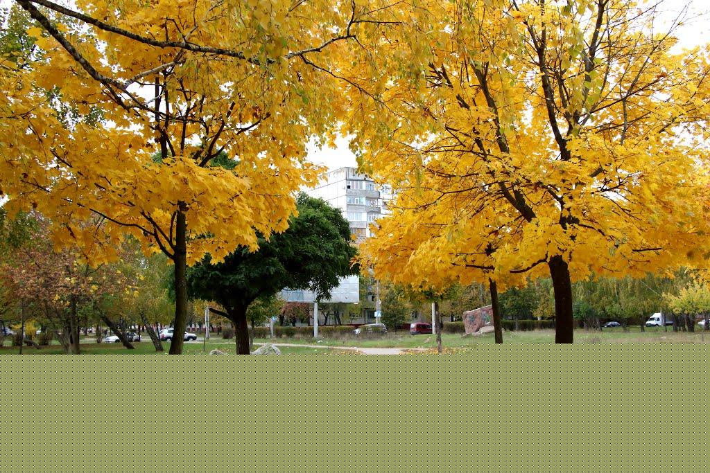 Кам'яниця з panoramio.com - Каменица