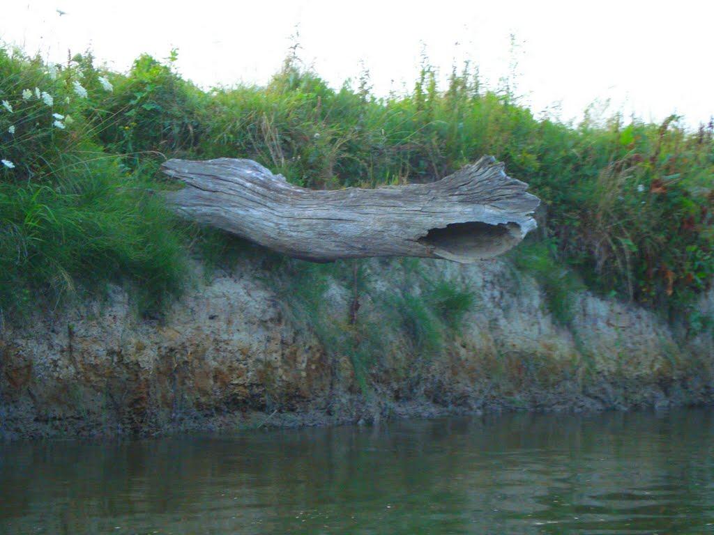 Сокіл з panoramio.com - Сокіл