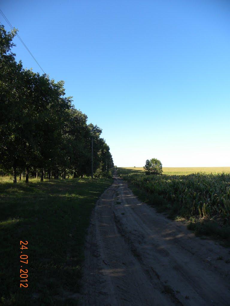 Вереміївка з panoramio.com - Веремиевка