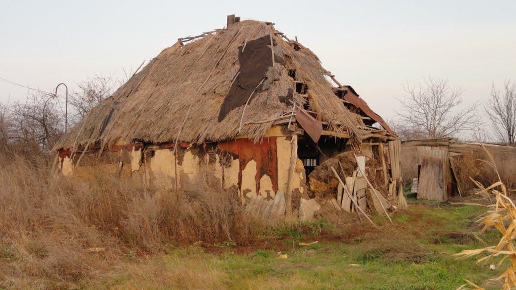 Косточки з panoramio.com - Косточки