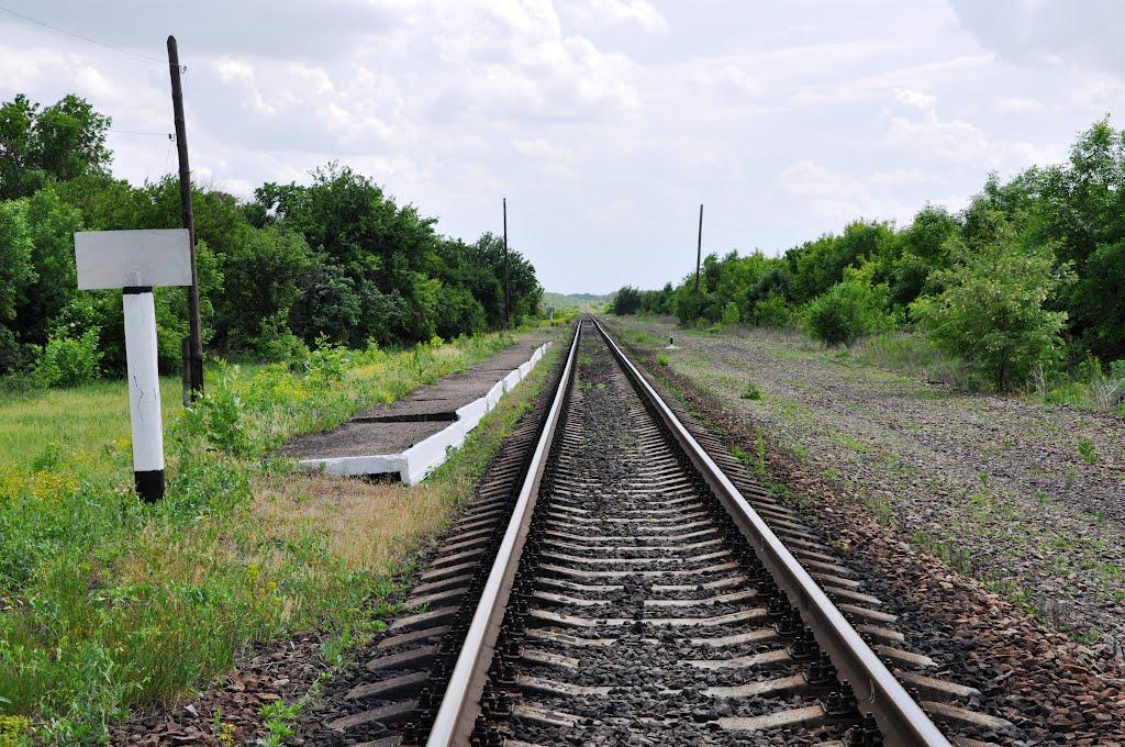 Лисе з panoramio.com - Лысое